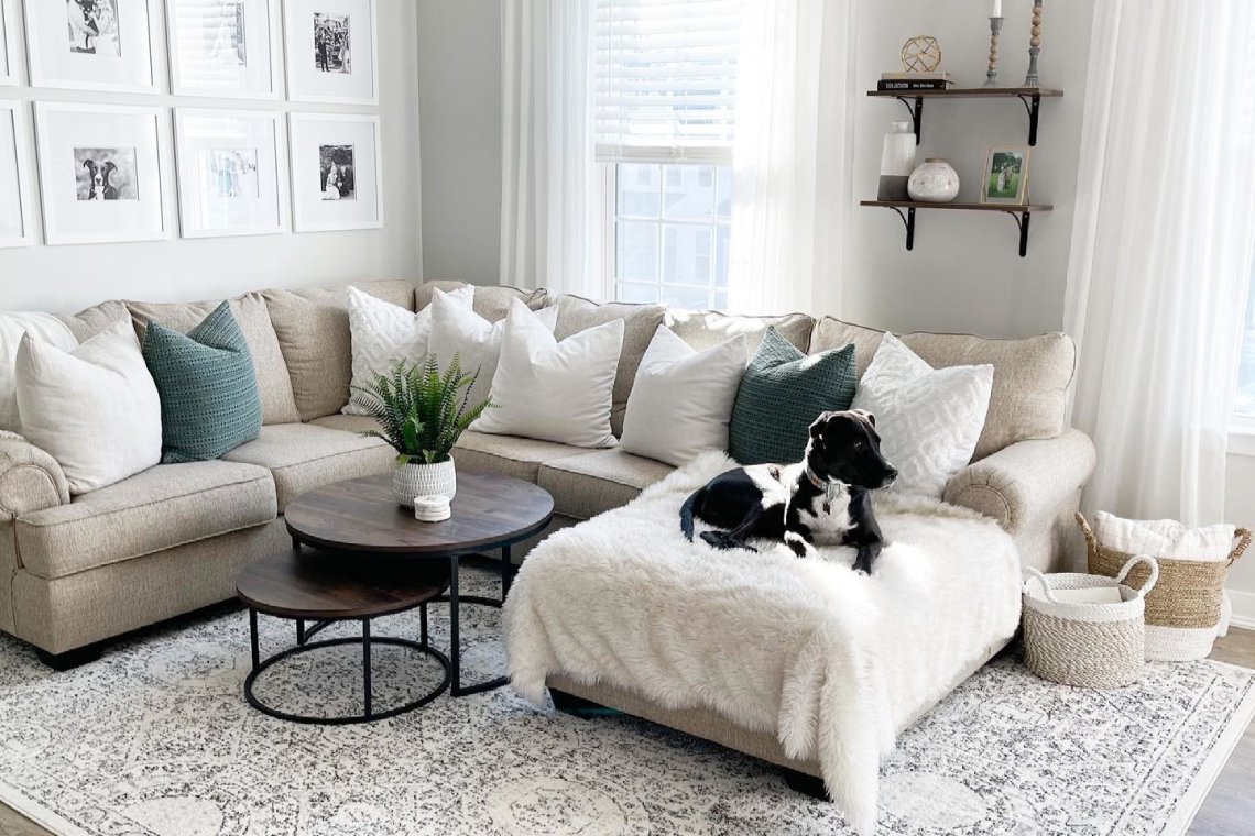 Rothenberger Vendite -Rothenberger Tools Sales Store abodeloadoflove c1968cb577e1d7c1f50d 1140x760 1